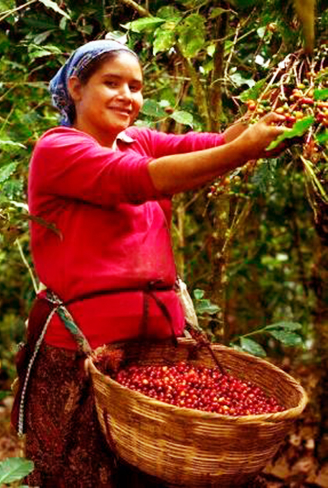Coffee Valve Coffee Freshness