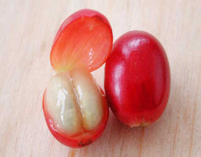 one way degassing valve said coffee cherry