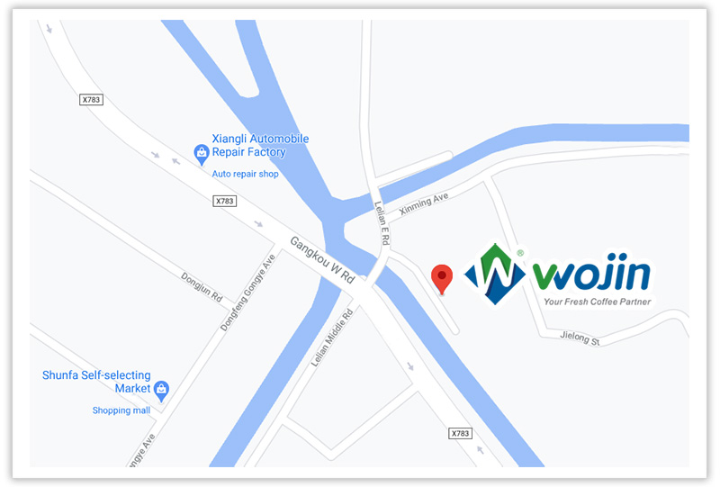 Wojin Google Map