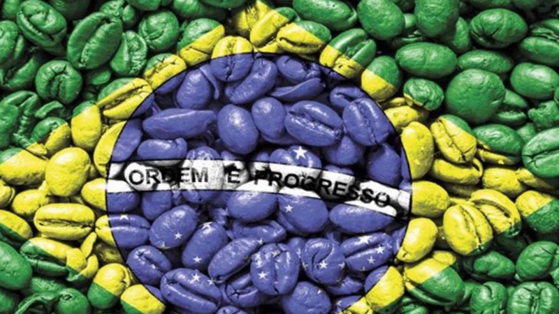 coffee culture in Brasil