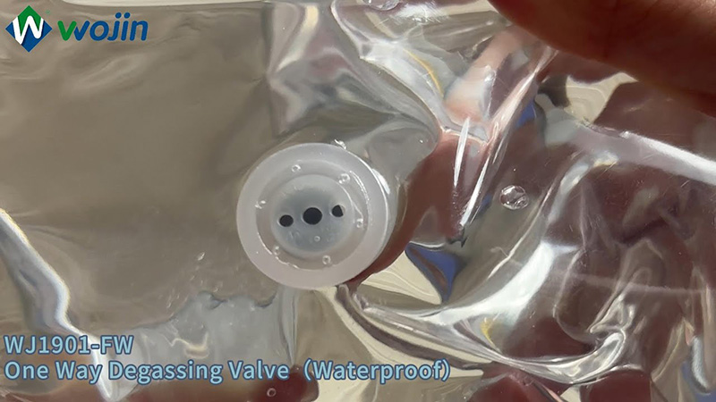How This Waterproof Degassing Valve Works