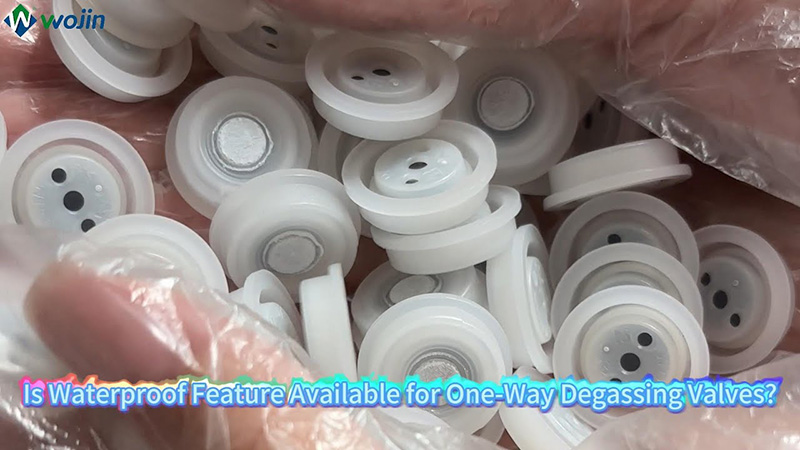 Is Waterproof Feature Available for One-Way Degassing Valves