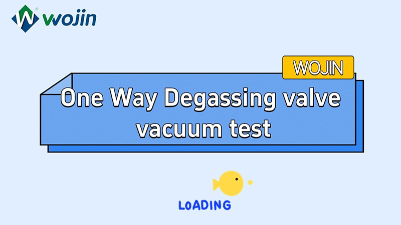 One way degassing valve vacuum test