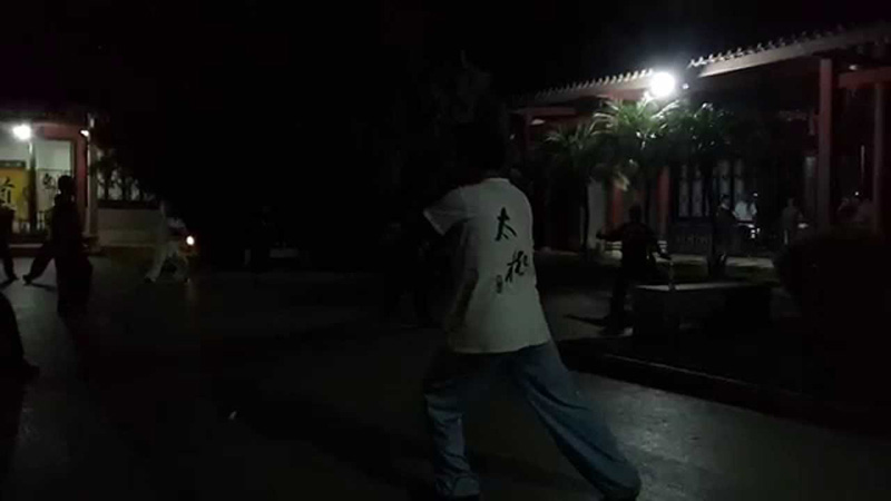 Wojin With Chinesse Kung Fu Tai Chi